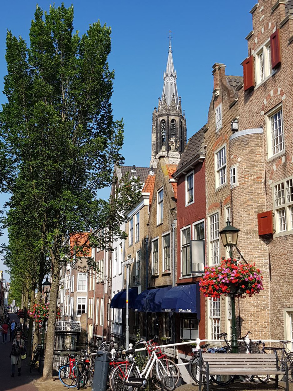 What about Delft