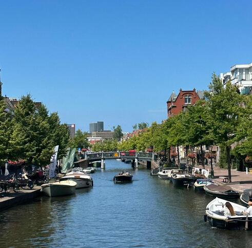 What about Leiden